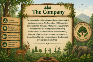 the company