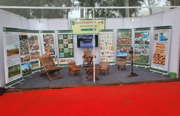 Displayed furniture during HFDC Workshop on E-Auction