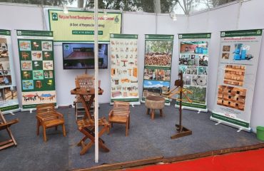 Displayed furniture