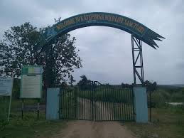 डाउनलोड