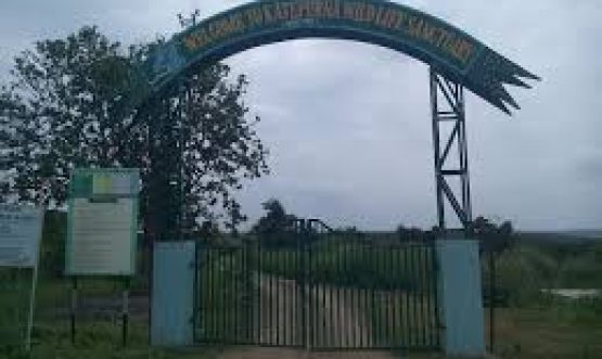 डाउनलोड