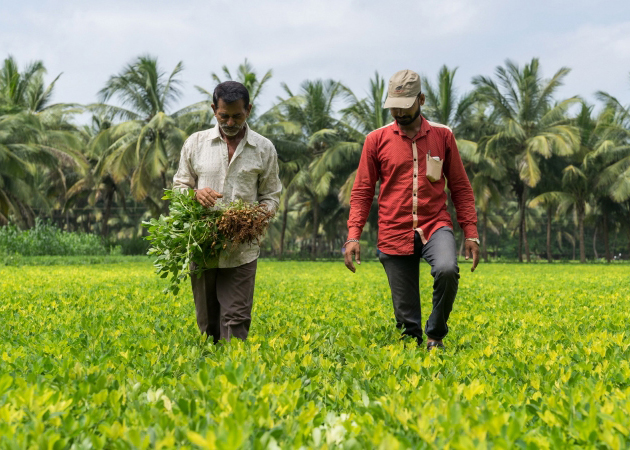 Photo banner image 1