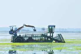 River-Surface Cleaning