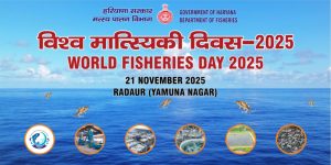 world fishery day nov 2025