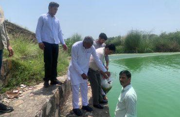 State-Wide Ranching Programme