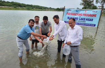State-Wide Ranching Programme