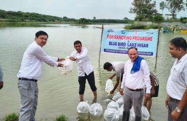 State-Wide Ranching Programme