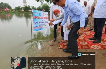 State-Wide Ranching Programme