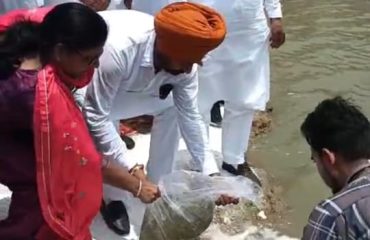 State-Wide Ranching Programme