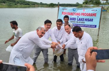 State-Wide Ranching Programme