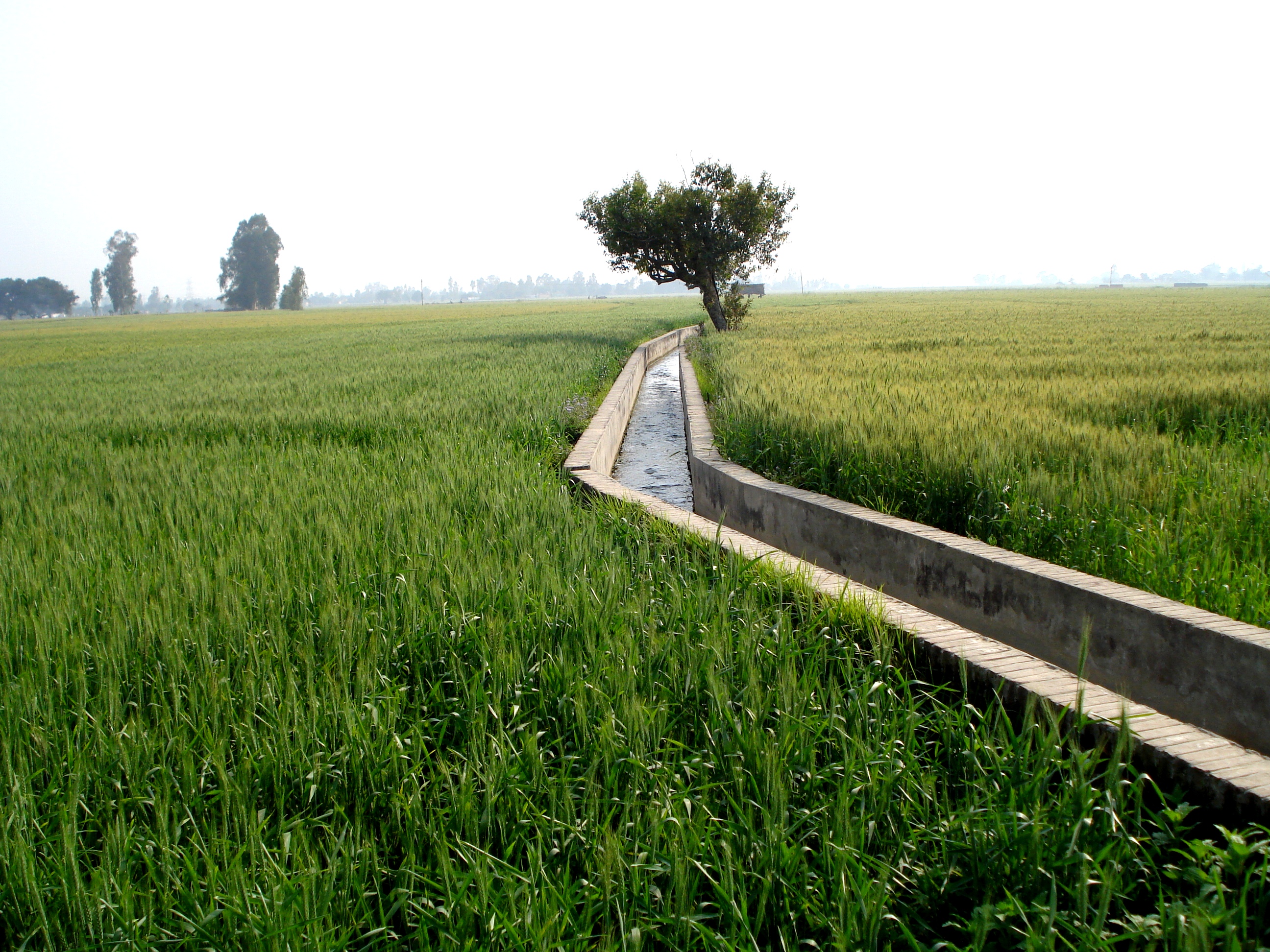 Nature of minor irrigation works