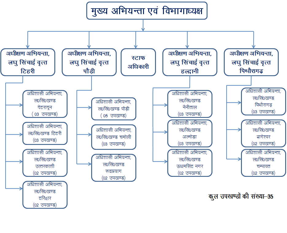 Department Structure