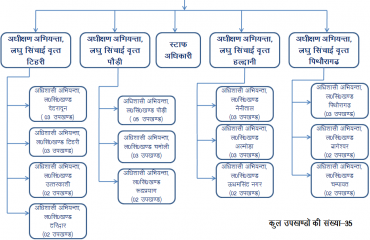 Department Structure
