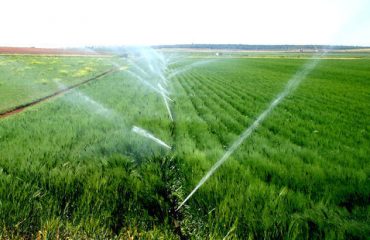 Minor Irrigation