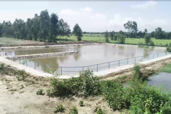 तालाब निर्माण