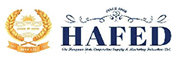 Hafed Logo