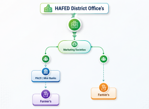 distribution
