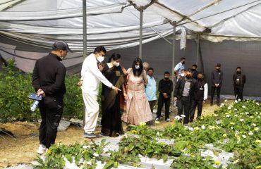 Flower farms of Zopar