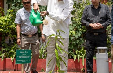 On the Occasion of Green Mizoram Day