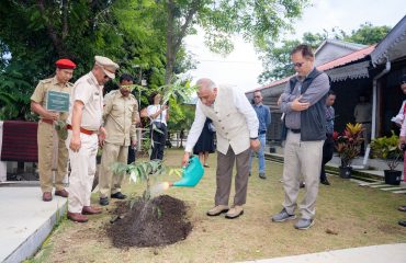 Planting State Tree Herhse