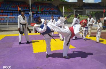 SD Taekwando 2019