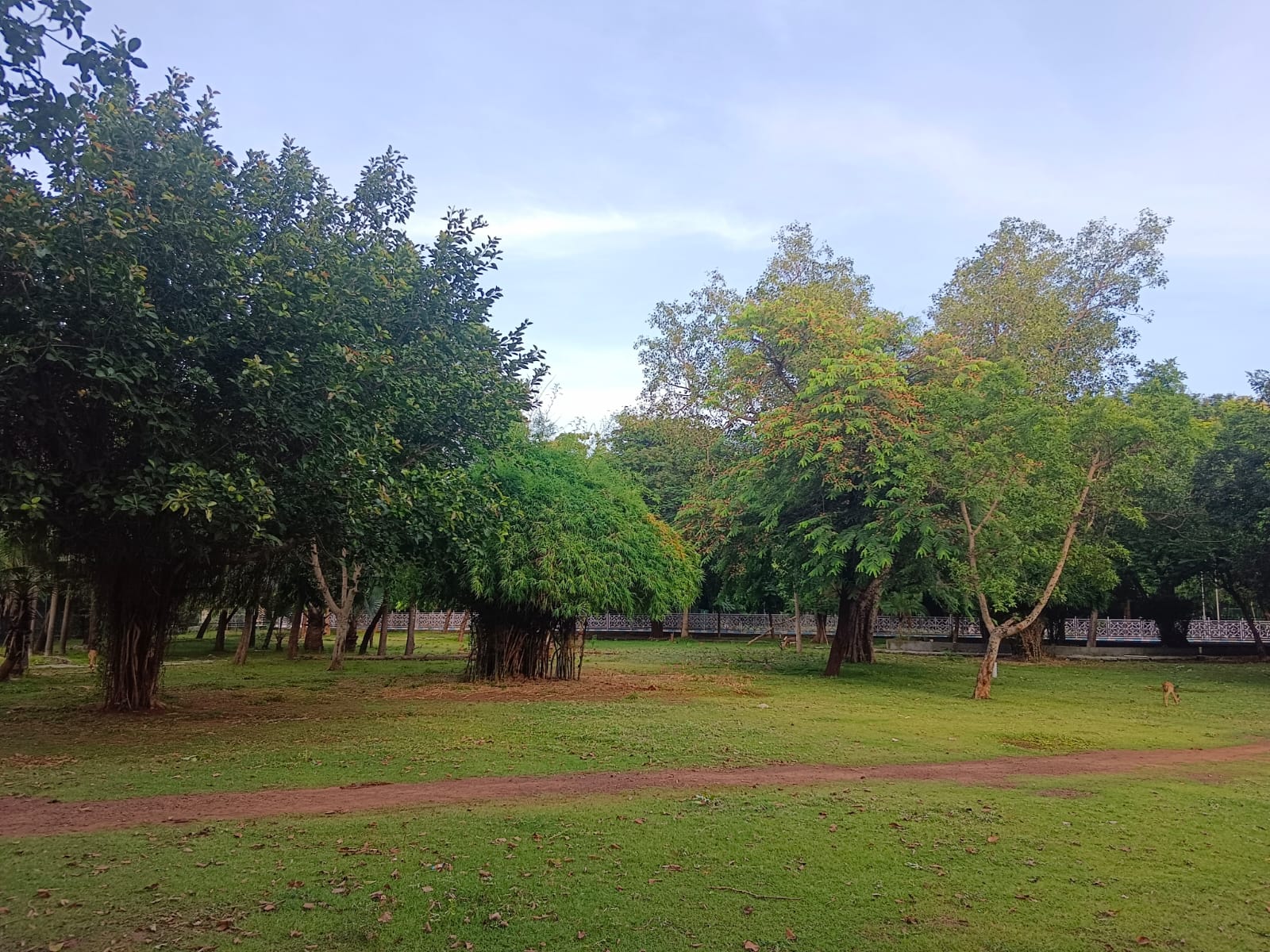 Nakshatra Garden