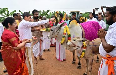 Thiru. R.N. Ravi, Hon'ble Governor of Tamil Nadu and Tmt.Laxmi Ravi, First Lady of Tamil Nadu, performed Gau Pooja marking the Tamil tradition of giving due respect to cattle at the Pongal celebrations of Natural Farmers, held at Musiri Institute of Technology (MIT), Musiri, Tiruchirappalli district - 11.01.2025.