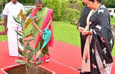 Smt. Droupadi Murmu, Hon'ble President of India, planted Magnolia tree saplings at Raj Bhavan, Udhagamandalam, Nilgiris District on 30.11.2024. Thiru.R.N.Ravi, Hon'ble Governor of Tamil Nadu, Tmt.Laxmi Ravi, Lady Governor of Tamil Nadu, Thiru. Siva V. Meyyanathan, Hon'ble Minister for Backward Classes Welfare, Government of Tamil Nadu were present.