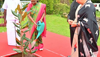 Smt. Droupadi Murmu, Hon'ble President of India, planted Magnolia tree saplings at Raj Bhavan, Udhagamandalam, Nilgiris District on 30.11.2024. Thiru.R.N.Ravi, Hon'ble Governor of Tamil Nadu, Tmt.Laxmi Ravi, Lady Governor of Tamil Nadu, Thiru. Siva V. Meyyanathan, Hon'ble Minister for Backward Classes Welfare, Government of Tamil Nadu were present.