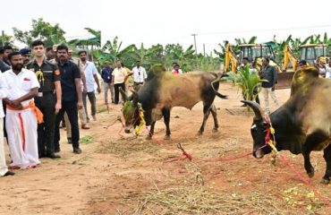 Thiru. R.N. Ravi, Hon'ble Governor of Tamil Nadu and Tmt.Laxmi Ravi, First Lady of Tamil Nadu, witnessed the Jallikattu Kalais, at the Pongal celebrations of Natural Farmers, held at Musiri Institute of Technology (MIT), Musiri, Tiruchirappalli district - 11.01.2025.