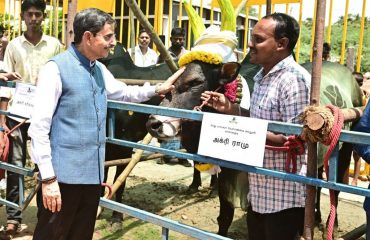 Thiru. R.N.Ravi, Hon'ble Governor of Tamil Nadu inagurated and witnessed the Jallikattu Bulls Parade, Traditional Chariots, Carts and visited the Agricultural Exhibition at Singampunari, Sivaganga district - 22.05.2025.