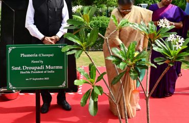 Tmt. Droupadi Murmu, Hon'ble President of India, planted Plumeria tree sapling at Raj Bhavan, Chennai on 03.09.2025. Thiru.R.N.Ravi, Hon’ble Governor of Tamil Nadu, Tmt. P. Geetha Jeevan, Hon’ble Minister for Social Welfare & Women Empowerment, Government of Tamil Nadu were present.