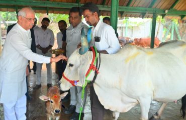Thiru. Rajendra Vishwanath Arlekar, Hon'ble Governor of Tamil Nadu, visited the Goshala at Lok Bhavan and offered prayers there, in Chennai - 27.07.2026.