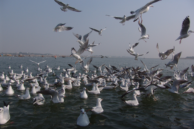 Sangam at Allahabad