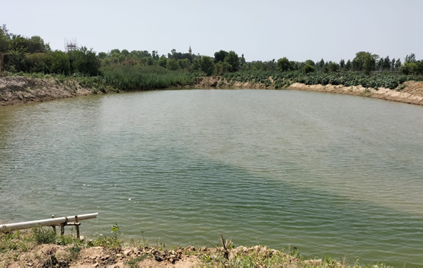 Amrit Sarovar Project