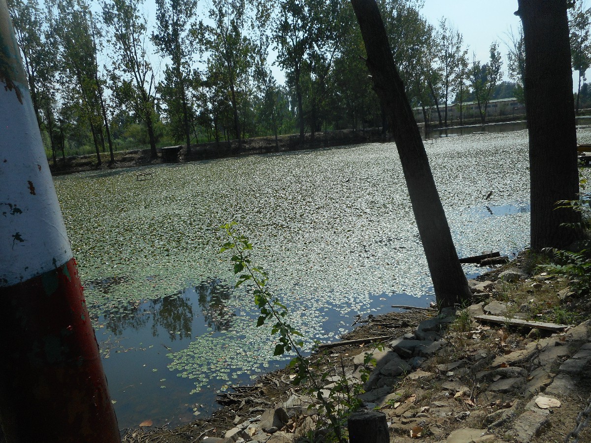 Prior (1)