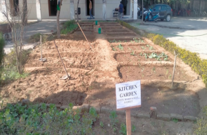 KITCHEN GARDEN 1