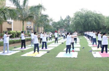 A view of International Yoga Day 2022 Celebration