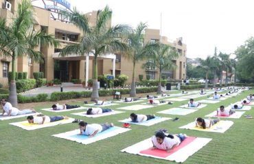 A view of International Yoga Day 2022 celebrations