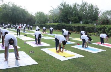 A view of International Yoga Day 2022 celebrations