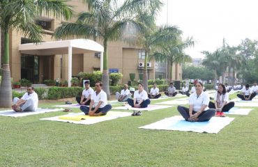 A view of International Yoga Day 2022 celebrations