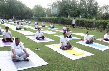 A view of International Yoga Day 2022 Celebration