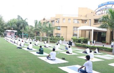 A view of International Yoga Day 2022 celebrations