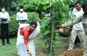 Tree Plantation Drive being carried out by Smt Meena B. Sharma, SADG