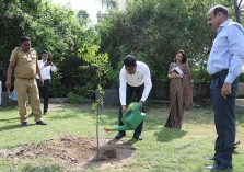 World Environment Day, 05 June, 2023 - Tree plantation being carried out by Shri GS Rajeswaran, DGDE;?>