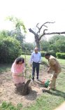 World Environment Day 2023: Tree plantation being done by Officer & Staff of DGDE;?>