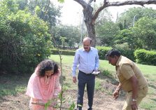 World Environment Day 2023: Tree plantation being done by Officer & Staff of DGDE;?>