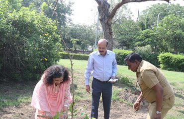 World Environment Day 2023: Tree plantation being done by Officer & Staff of DGDE