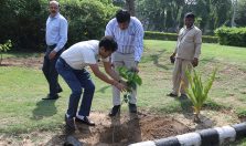 World Environment Day 2023: Tree plantation being done by Officer & Staff of DGDE;?>