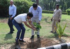 World Environment Day 2023: Tree plantation being done by Officer & Staff of DGDE;?>